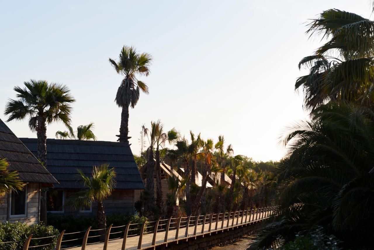 Rent Paradise Grimaud Exterior photo